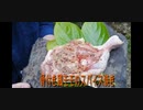 骨付きモモ肉スパイス焼き