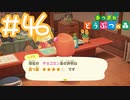 【実況｜あつまれ どうぶつの森】20代女、都会に疲れたので無人島に移住する＃４６