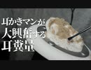 【ASMR】海に行って遊び尽くした感のある人の耳糞をゴッソリ取り除く【音フェチ】