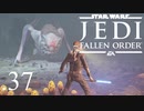 パダワンがジェダイマスターを目指してスターウォーズジェダイフォールンオーダーを実況プレイする.37[STAR WARS JEDI FALLEN ORDER]