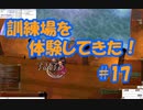 「訓練場を体験してきた！」【ラグナロクオンライン＃１７」