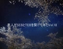 素人がSEBとTEBを繋げてみたVol.18