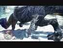 【MHW:I】遅ればせながら、アイスボーンに挑んでみた【初見】第17狩猟