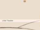 【Little Traveler】歌ってみた 永沢宗