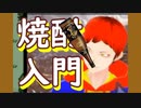 【MOTHER】PKサンダーンアアアァ！しか知らない男と履修しよう#4-a