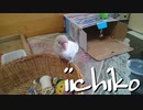 母とチュン太さん