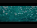 Auth - any birth / 初音ミク