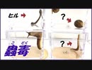 ヌメヌメした生物で「蟲毒」を試そうとしたら、とてもNGな結果になった。【NG集】