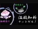 ガラルでも頑張るシングルランクマッチpart14（ナットゲル）