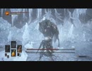 サクッと攻略、SL1と無強化を添えて（王者の墓守編）