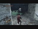 【DARK SOULS Ⅱ】今更始めるダクソⅡ初見実況　part11