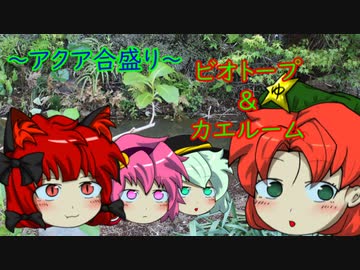 【アクア合盛り】ビオトープ２話、カエルーム４話
