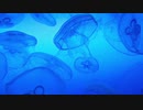 【iPhoneで創ってみた】新世紀エヴァンゲリオン 綾波レイ イメージオリジナル曲「Alone」