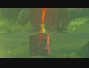 依頼を受けて、コログの森の茂みに出現するコログで遊んでみた