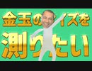 金玉のサイズ