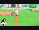 【あつまれ どうぶつの森】島に遊園地を作って逝くぜい!#47