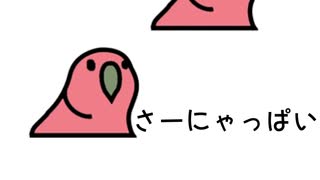 例のオウム達がストパンのキャラを3期に向けておさらいするそうです