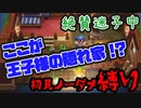 【ゼルダの伝説夢をみる島】初見が辛口ノーダメ縛りでエンディングを見にいく #5