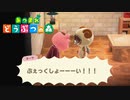 【実況】自由気ままに無人島ライフ ３５日目【あつ森】