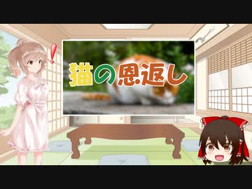 ささらと昔話講座　第19話【猫の恩返し】