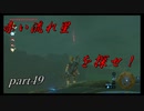 【ゼルダの伝説ブレスオブザワイルド】赤い流れ星と綺麗【実況プレイ】part49