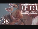 パダワンがジェダイマスターを目指してスターウォーズジェダイフォールンオーダーを実況プレイする.38[STAR WARS JEDI FALLEN ORDER]
