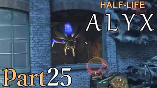 【楽しくVR実況！】~初めてのHalf-Life！~ Half-Life: Alyx【part25】