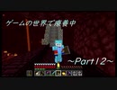 【実況】ゲームの世界で療養中Part12【Minecraft】