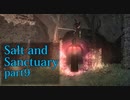 【Salt_and_Sanctuary】2D世界の呪われた島を初見探索【実況】part9