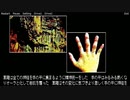 【#10】波動の標的【実況】