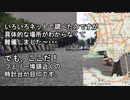 【香港旅#06】 （汗かくよ！）香港で 太極拳 体験教室！ GW 2018★ほぼ一週間！≪香港 家族旅行≫ 海外旅行 Hong Kong #香港 #HongKong #旅行