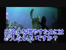 【切実】出会いを増やすためにはどうしたらいいですか？【タートルトーク】東京ディズニーシー