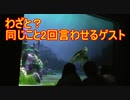 【わざと？】同じこと2回言わせるゲスト【タートルトーク】東京ディズニーシー