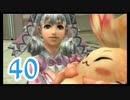 【実況】ゼノブレ世界を堪能しながらクリアを目指すpart40【xenoblade】