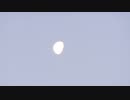 夜明けの月