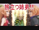 行こう！！　失った記憶を知る旅へ！【WORLD OF FINAL FANTASY】　Part1
