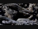 SCP-421 - 流木の群れ
