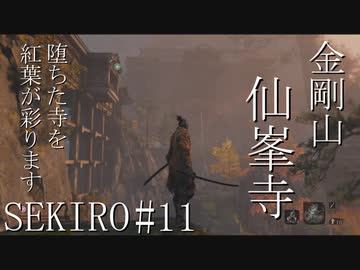 【実況プレイ】その男、一匹狼 ‐SEKIRO‐【その11】