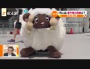ウールーさまがテレビに映った瞬間（Nスタ、C96）