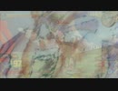 FF(フライトフォーム)から失礼するゾ～.mp12