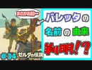 【続編決定記念】のんびりと伝説「ゼルダの伝説～ブレスオブザワイルド～」　＃34