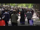 フランスのパリで外出散歩の制限を緩和したら...ご覧の有様にw