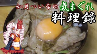 如月ついなの気まぐれ料理録　一品目「すた丼風丼物」