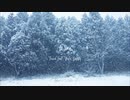 Eliza / TUCCA feat.雪歌ユフ