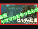 【ゼルダの伝説BotW】バクダンで大体のことは解決する大冒険 part17【実況】