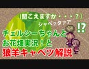 【べるふが行く!】Alice mare part8【童話の世界】★解説入り
