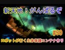 【 初めてのテラリウム】void tRrLM(); //ボイド・テラリウム　part50