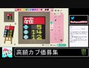 2020年05月12日【あつまれどうぶつの森】競馬場を作ろう！【放送アーカイブ】