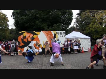 【東大生が】2019駒場祭⑨東大踊々夢【踊ってみた】Part4