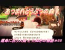 【あつ森】前人未島へようこそ！#55【あつまれどうぶつの森】